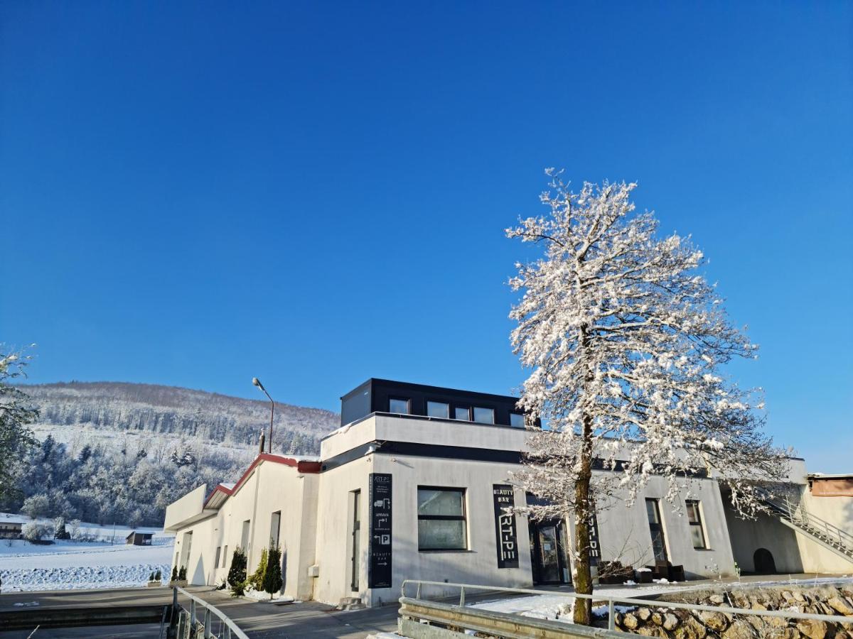 Roof Apartment Art-Pe Trebnje Dış mekan fotoğraf